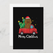 Boykin Spaniel kerstboomversiering Boom Dog Kaart (Voorkant / Achterkant)