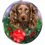 Boykin Spaniel Kerstcadeaus Ornament Fotobeeldje Ornament<br><div class="desc">Mooie Boykin Spaniel-kerstkunst met een mooie boykin omgeven door een heilige kreet,  en geplaatst tegen een sterrenavond achtergrond. Kaarten,  kleding en cadeaugoederen.</div>