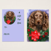 Boykin Spaniel kerstcadeautentags Visitekaartjes (Voorkant /achterkant)