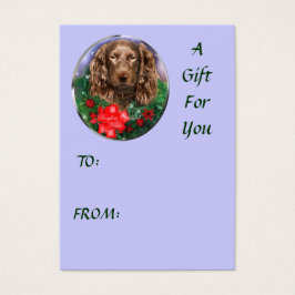 Boykin Spaniel kerstcadeautentags Visitekaartjes