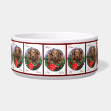 Boykin Spaniel Kersthond Bowl