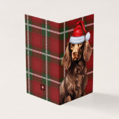 Boykin Spaniel Kersthond met Holiday Plaid Kaart (Buitenkant)