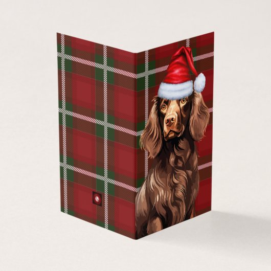 Boykin Spaniel Kersthond met Holiday Plaid Kaart (Buitenkant)
