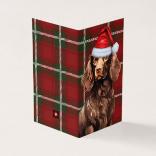 Boykin Spaniel Kersthond met Holiday Plaid Kaart