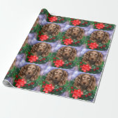 Boykin Spaniel Kerstkrans Cadeaupapier (Uitgerold)