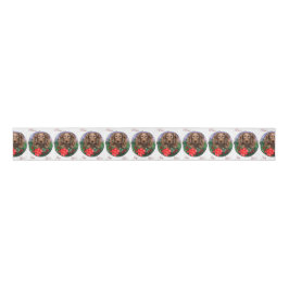 Boykin Spaniel Kerstmis Grosgrain Lint