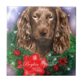 Boykin Spaniel Kerstmis Tegeltje