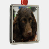 Boykin Spaniel Ornaments Metalen Ornament (Rechts)