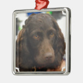 Boykin Spaniel Ornaments Metalen Ornament (Links)