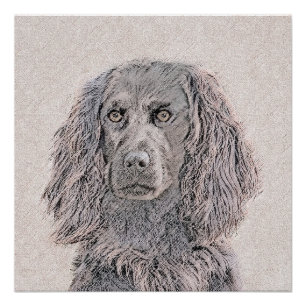 Boykin Spaniel Painting - Oorspronkelijke dog Art Perfect Poster