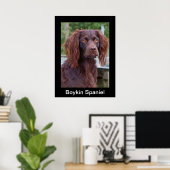 Boykin Spaniel Poster (Thuiskantoor)