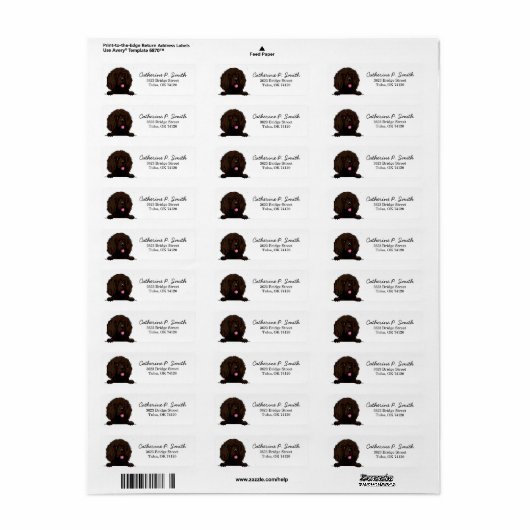 Boykin Spaniel Return Address Etiket (Full Sheet)