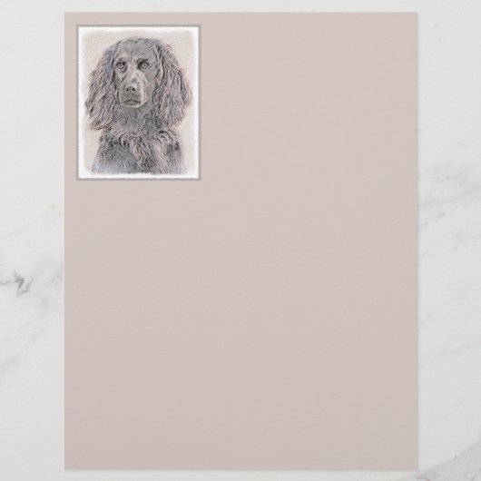 Boykin Spaniel Schilderen - Kute Original Dog Art (Voorkant)
