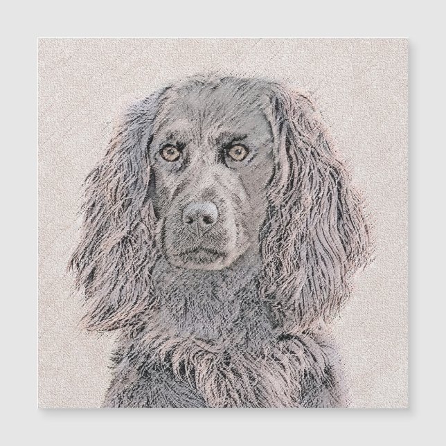 Boykin Spaniel Schilderen - Kute Original Dog Art (Voorkant)