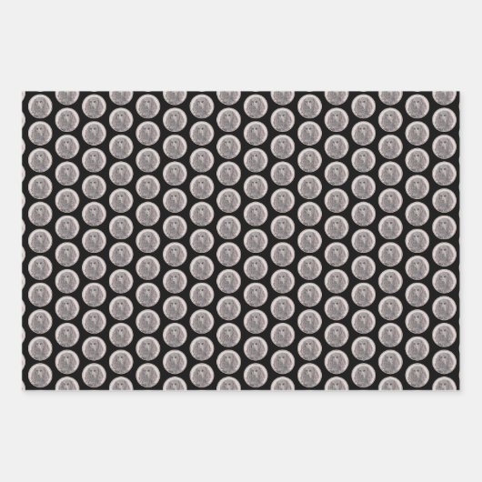 Boykin Spaniel Schilderen - Kute Original Dog Art Inpakpapier Vel (Voorkant 3)