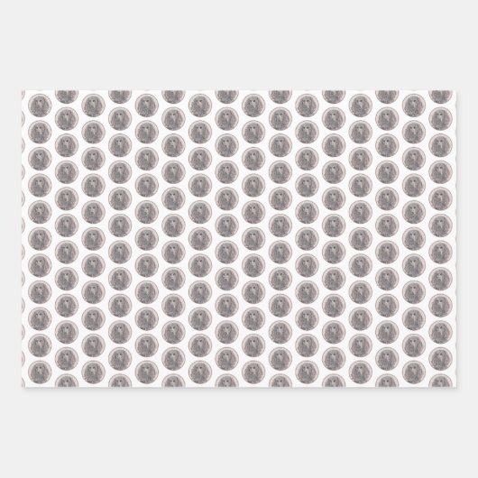 Boykin Spaniel Schilderen - Kute Original Dog Art Inpakpapier Vel (Voorkant 2)