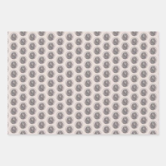 Boykin Spaniel Schilderen - Kute Original Dog Art Inpakpapier Vel (Voorkant)