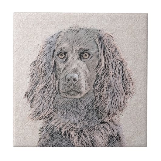 Boykin Spaniel Schilderen - Kute Original Dog Art Tegeltje (Voorkant)