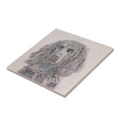 Boykin Spaniel Schilderen - Kute Original Dog Art Tegeltje (Zijkant)