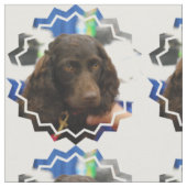 Boykin Spaniel Stof (Close Up)