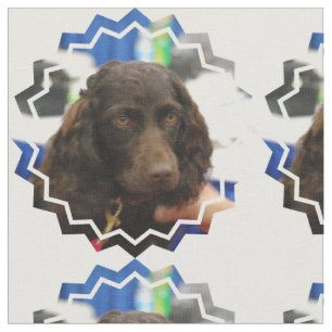 Boykin Spaniel Stof
