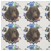 Boykin Spaniel Stof (Swatch)