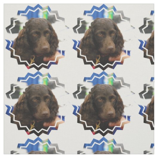 Boykin Spaniel Stof (Swatch)