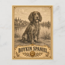 Boykin Spaniel, Vintage Heritage Hond