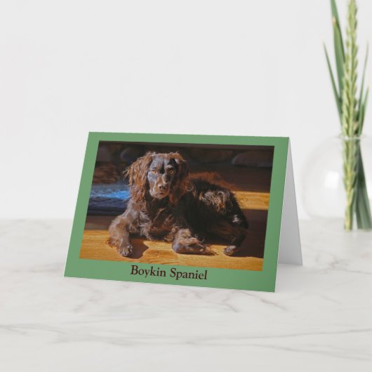 Boykin Spaniel-Wenskaart Kaart (Voorkant)