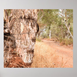 "Boyond the Old Stump" Australisch Schilderachtig  Poster