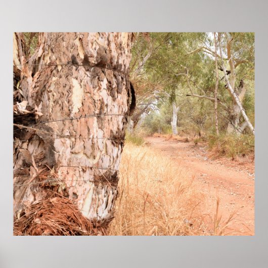 "Boyond the Old Stump" Australisch Schilderachtig Poster (Voorkant)