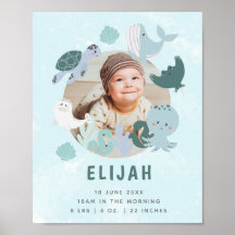 Boys Blue under Zee Birth Stats Photo Nursery