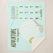 Boy's Cute T Rex Dinosaur Baby Milestone Sherpa Deken (Voorkant)