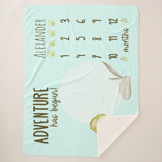 Boy's Cute T Rex Dinosaur Baby Milestone Sherpa Deken (Voorkant)