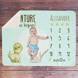 Boy's Cute T Rex Dinosaur Baby Milestone Sherpa Deken