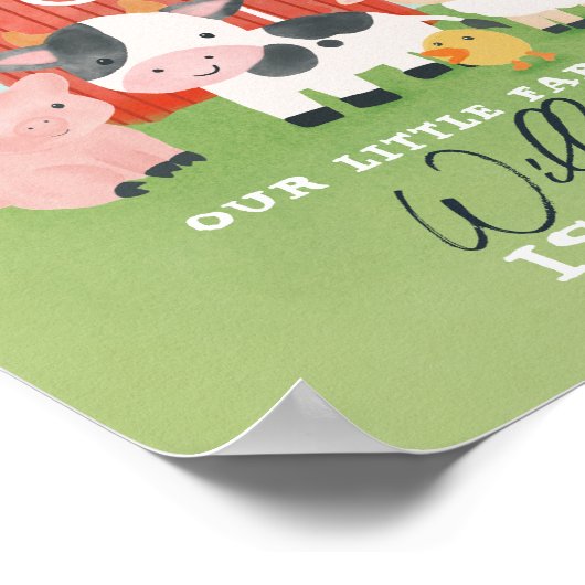 Boys Farm Animal Kids Birthday Welcome  Poster (Hoek)