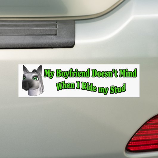 Boyvriend Ride Stud Bumpersticker Horse Funny (Op auto)