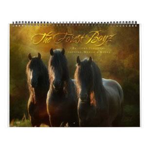 Boyz - beloofde grond kalender