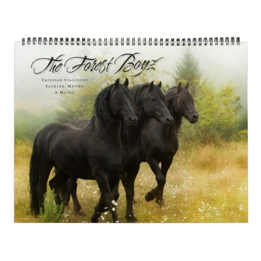 Boyz - Live vrij Kalender (Hoes)