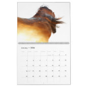 Boyz - Live vrij Kalender (Jan 2026)