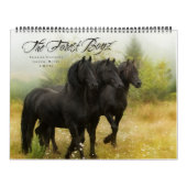 Boyz - Live vrij Kalender (Hoes)
