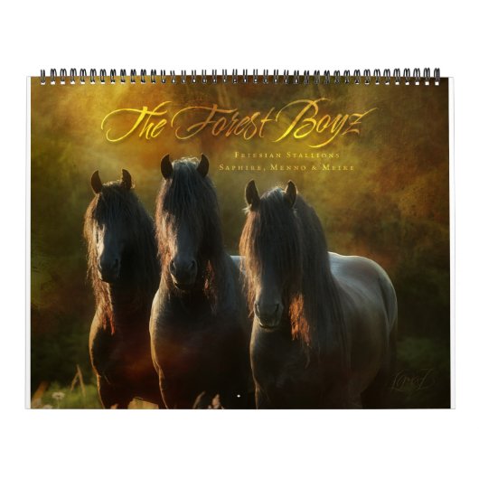Boyz - Promised Land Kalender (Hoes)