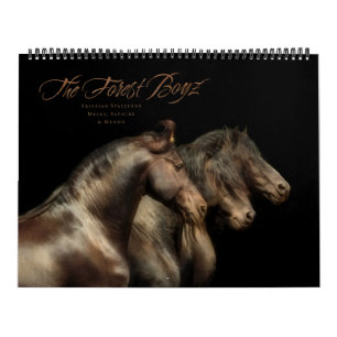 Boyz - Vrijheidsstrijders Kalender