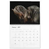 Boyz - Vrijheidsstrijders Kalender (Feb 2027)