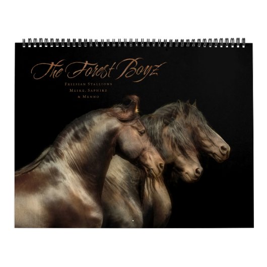 Boyz - Vrijheidsstrijders Kalender (Hoes)