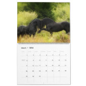 Boyz - Vrijheidsstrijders Kalender (Mar 2026)