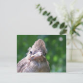 boze baby vogel briefkaart (Staand voorkant)