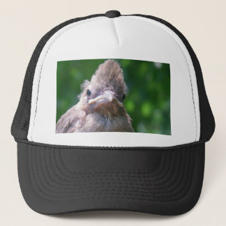 boze baby vogel trucker pet