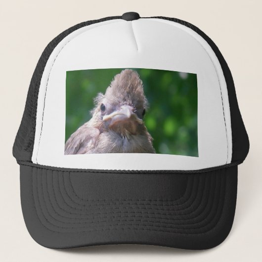 boze baby vogel trucker pet (Voorkant)