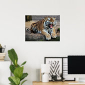 Boze Brullende Tijger Foto Poster (Thuiskantoor)